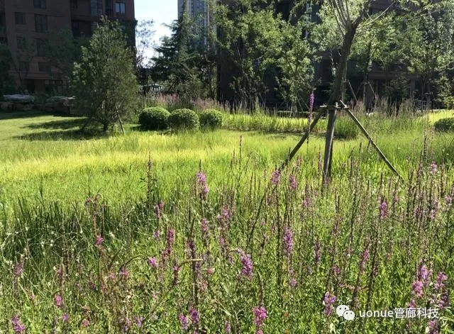 1601346971126754.jpg 1601346971126754.jpg