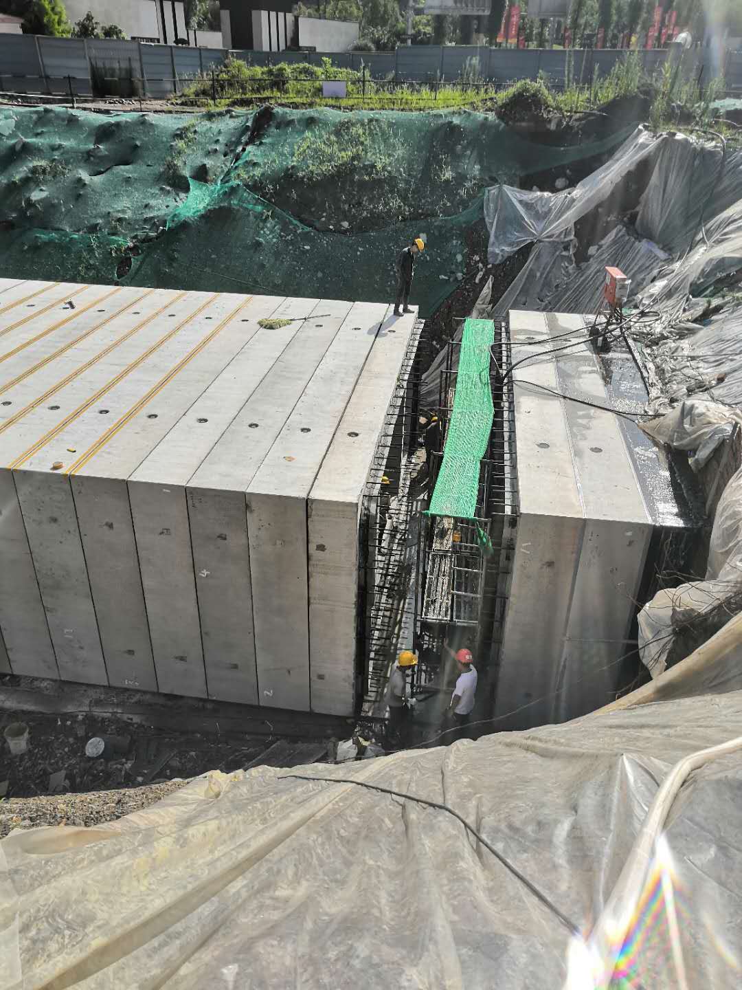 1609759368231726.jpg 1.jpg