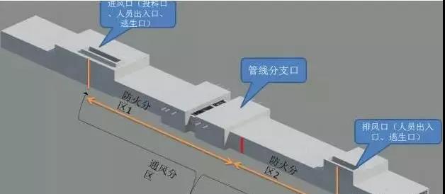 1612405681507904.jpg 33.jpg