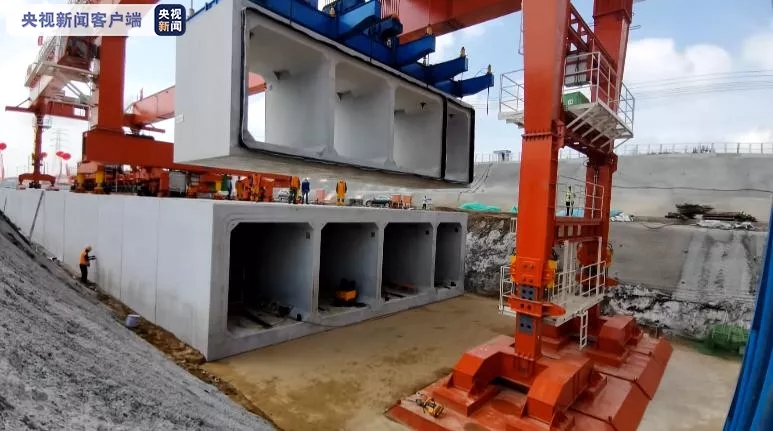 1629721543746257.jpg 640.webp.jpg