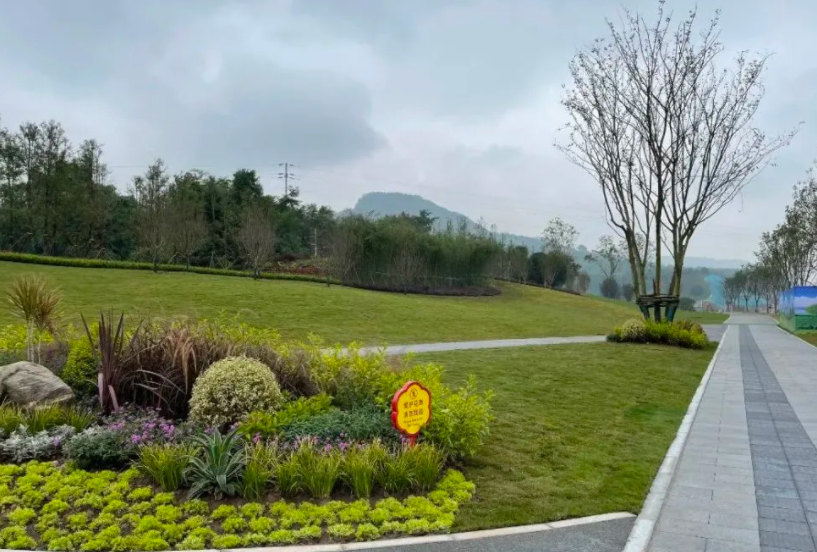 1637039886114378.png image.png